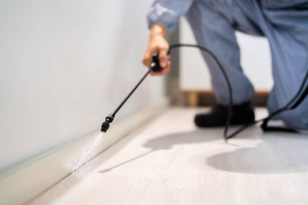 Professional exterminator conducting IPM assessment in East Camden